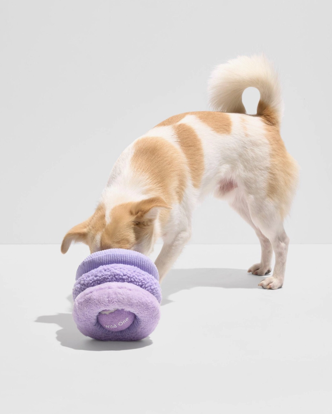 HealthyDog Wild One Hundespielzeug aus Plüsch — Tennis Tuft lila