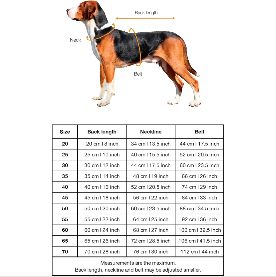 HealthyDog PAIKKA Messanleitung