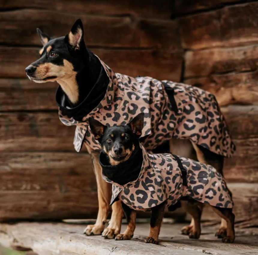 HealthyDog PAIKKA Regenmantel Leo leuchtend
