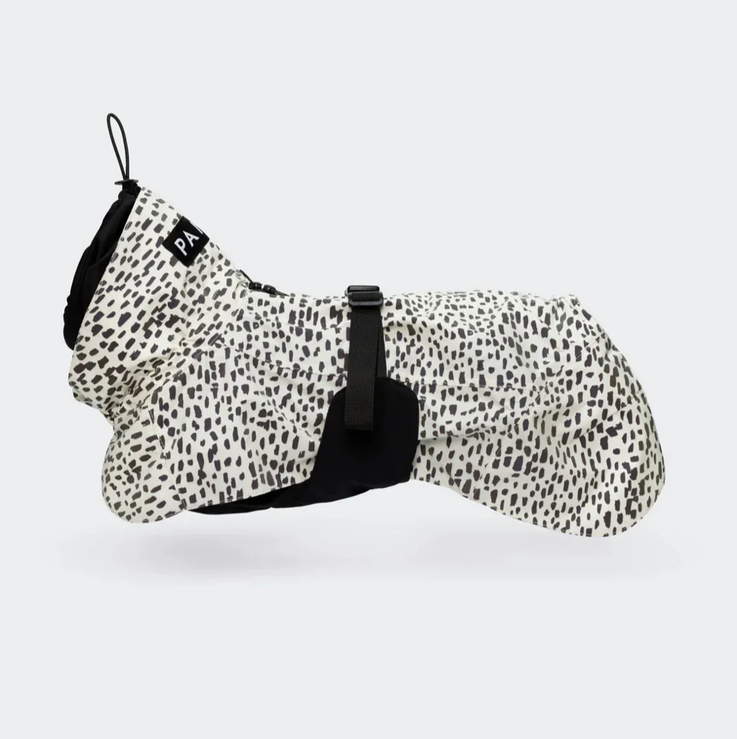 HealthyDog PAIKKA Regenmantel 2.0 leuchtend