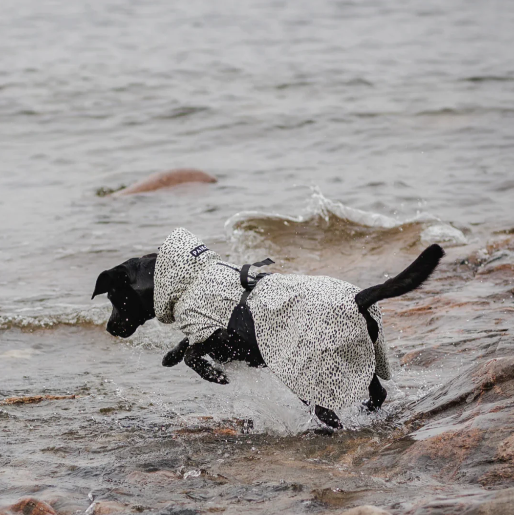 HealthyDog PAIKKA Regenmantel 2.0 leuchtend