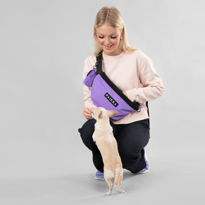 HealthyDog PAIKKA Leckerlitasche "lila" leuchtend