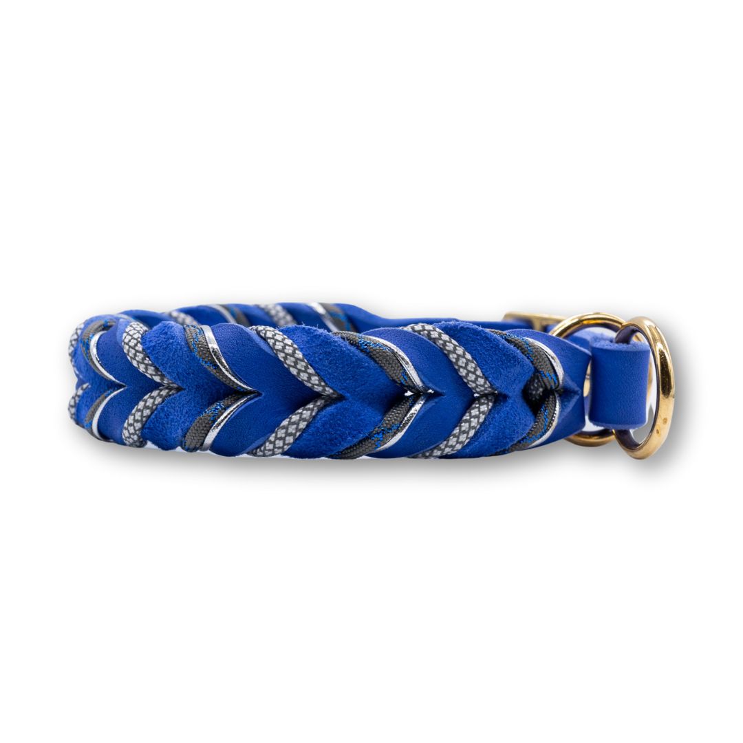 HealthyDog Lederhalsband "Danilo"