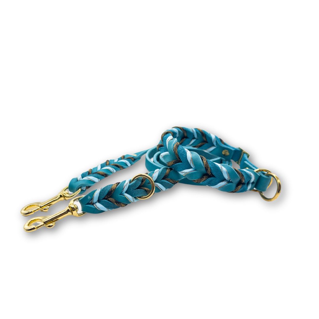 HealthyDog Lederhalsband und Lederleine "Jimmy"