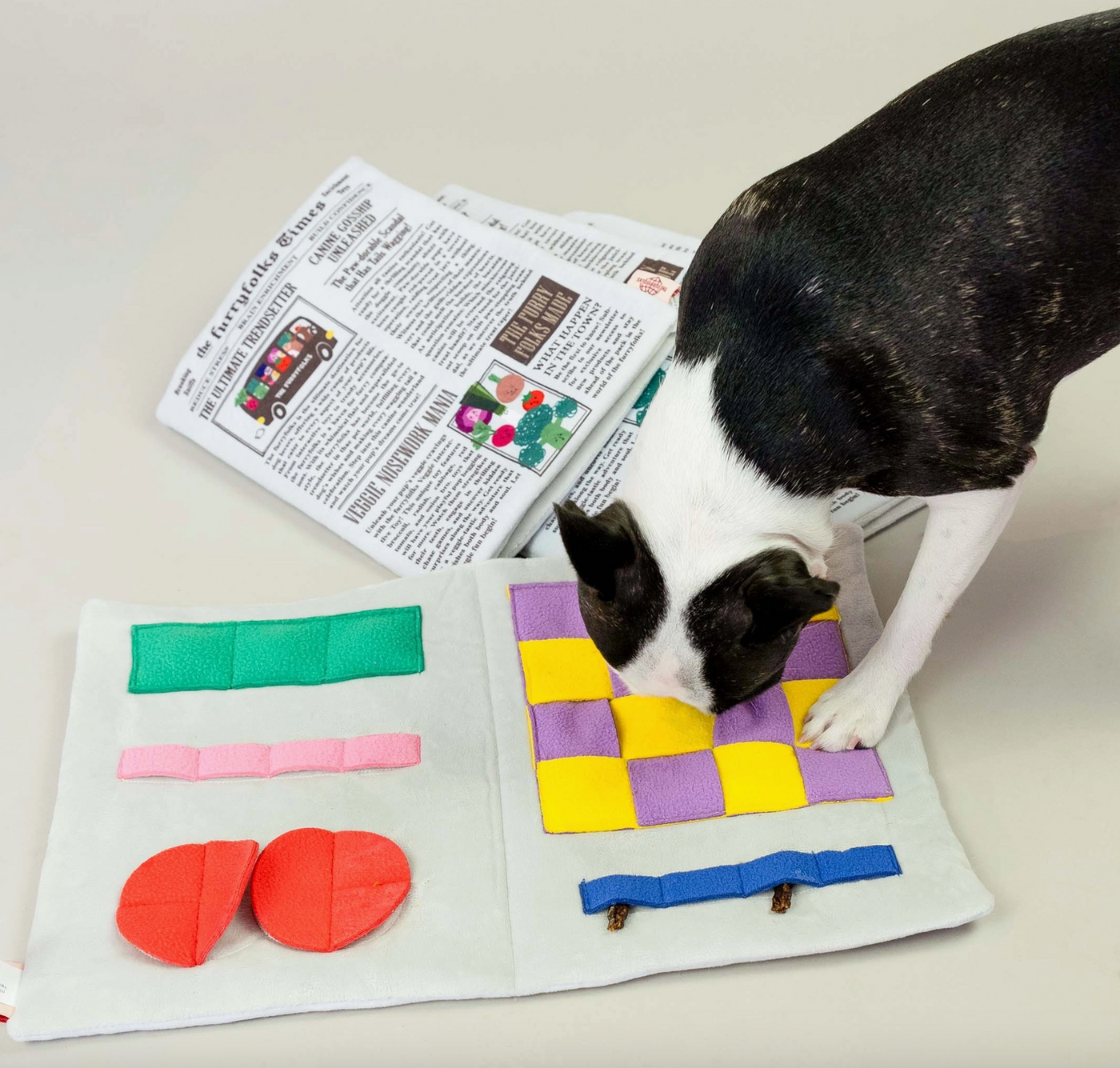 the furryfolks Zeitung Nasenarbeit Hundespielzeug
