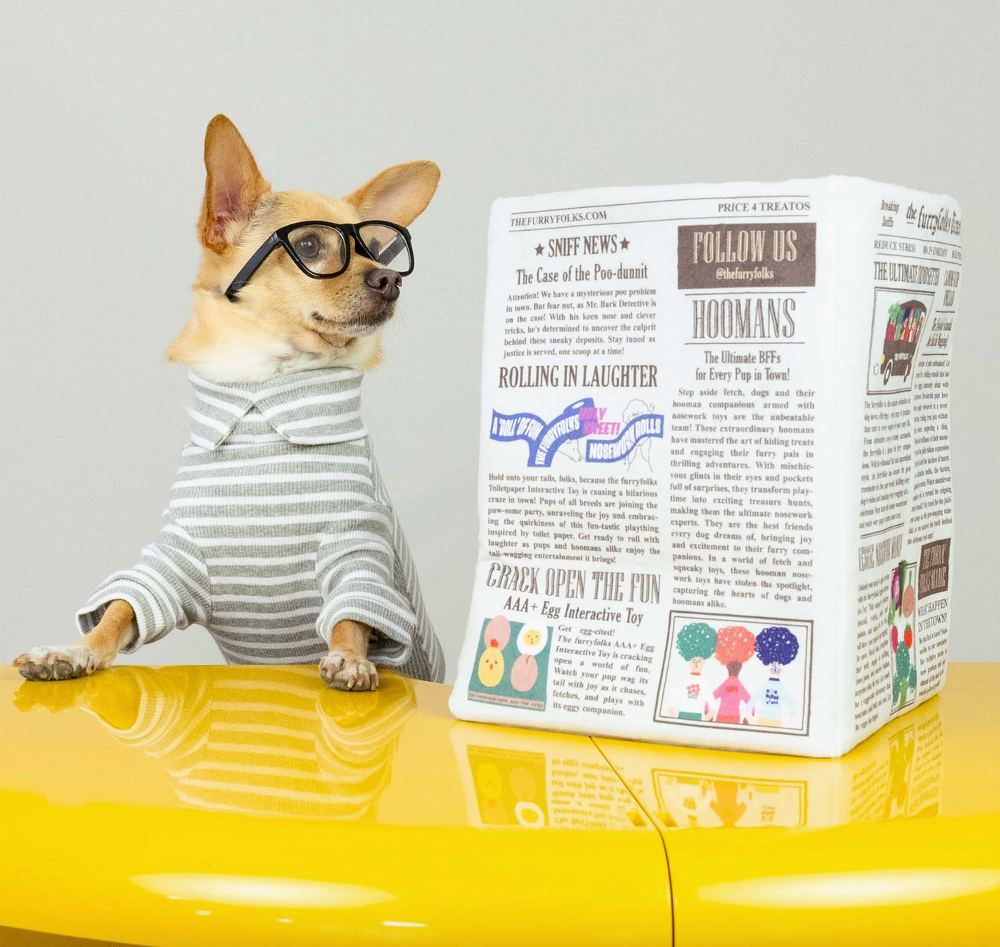 the furryfolks Zeitung Nasenarbeit Hundespielzeug