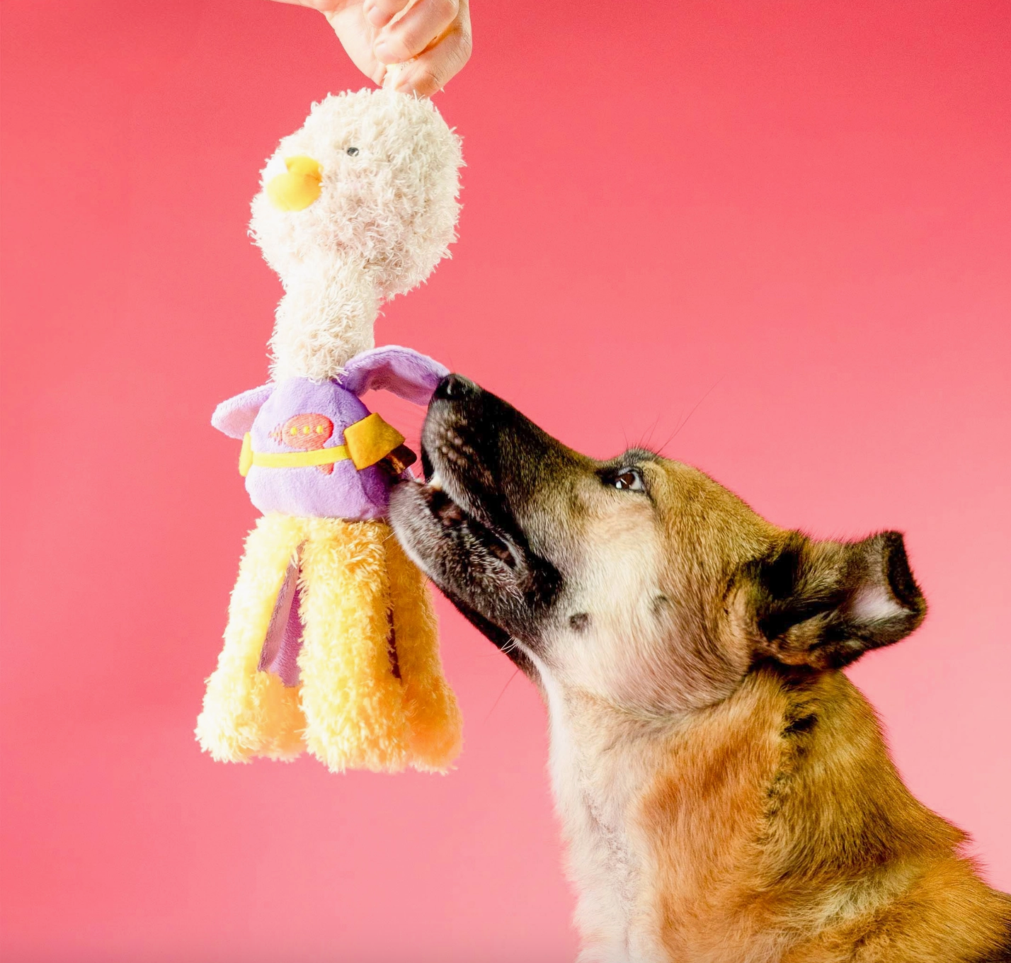 the furryfolks Qwaaak Nasenarbeit Hundespielzeug