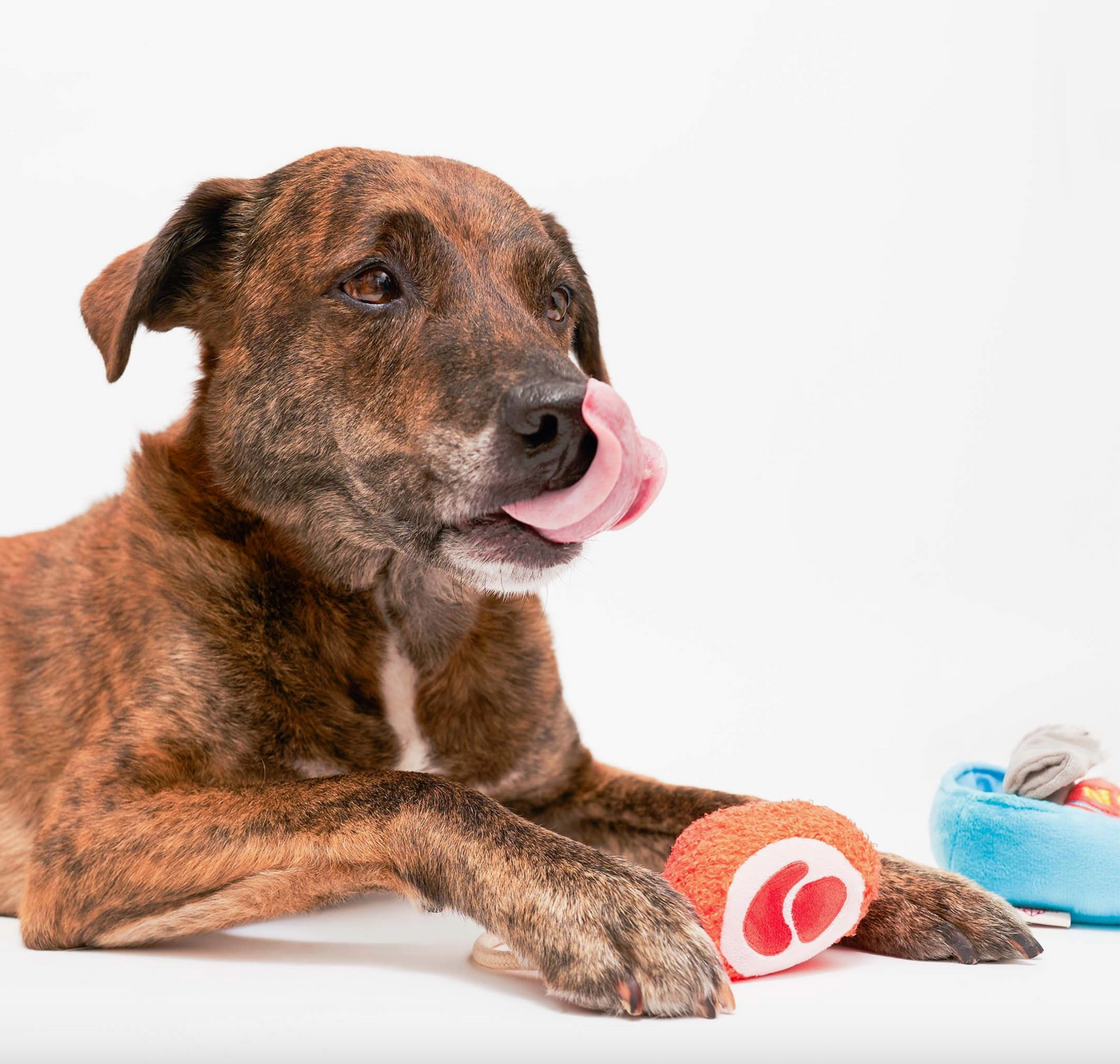 the furryfolks Schinken Nasenarbeit Hundespielzeug