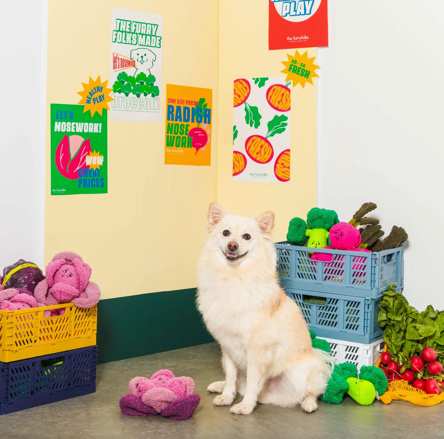the furryfolks Rotkohl Nasenarbeit Hundespielzeug