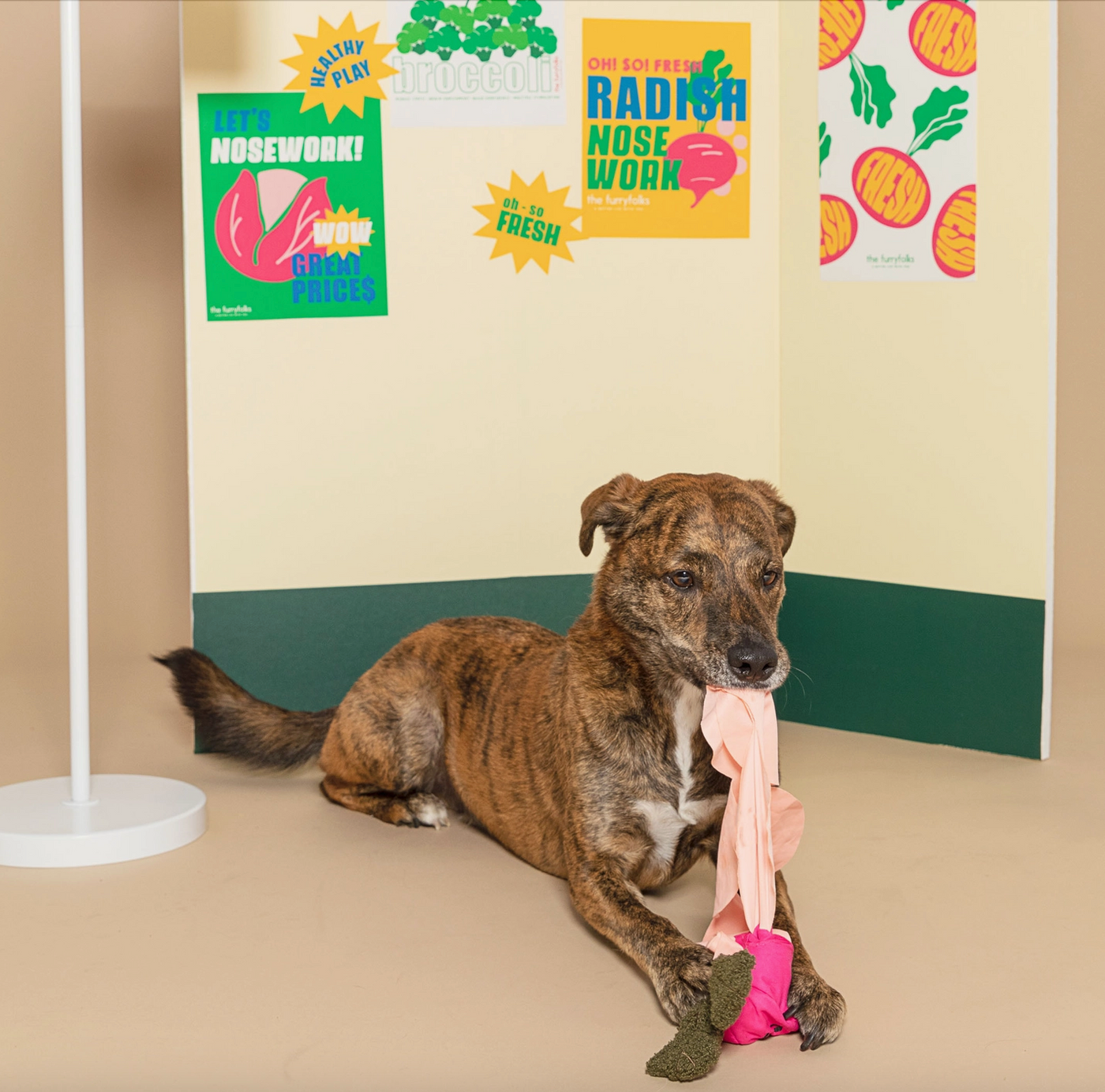 the furryfolks Radiesli Nasenarbeit Hundespielzeug