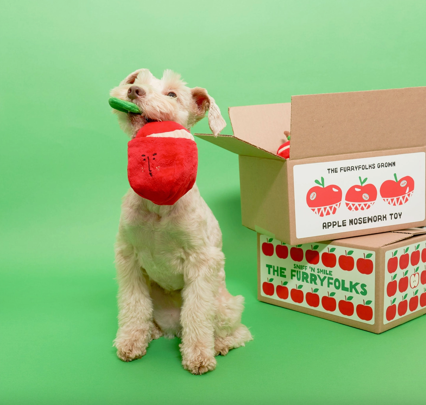 the furryfolks Apfel Nasenarbeit Hundespielzeug