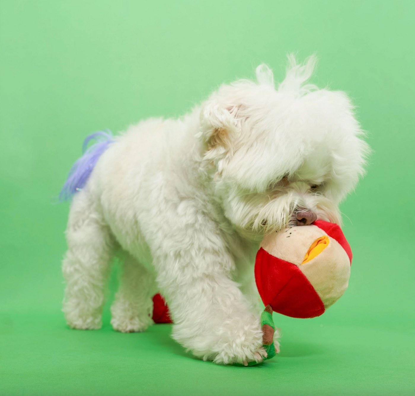 the furryfolks Apfel Nasenarbeit Hundespielzeug