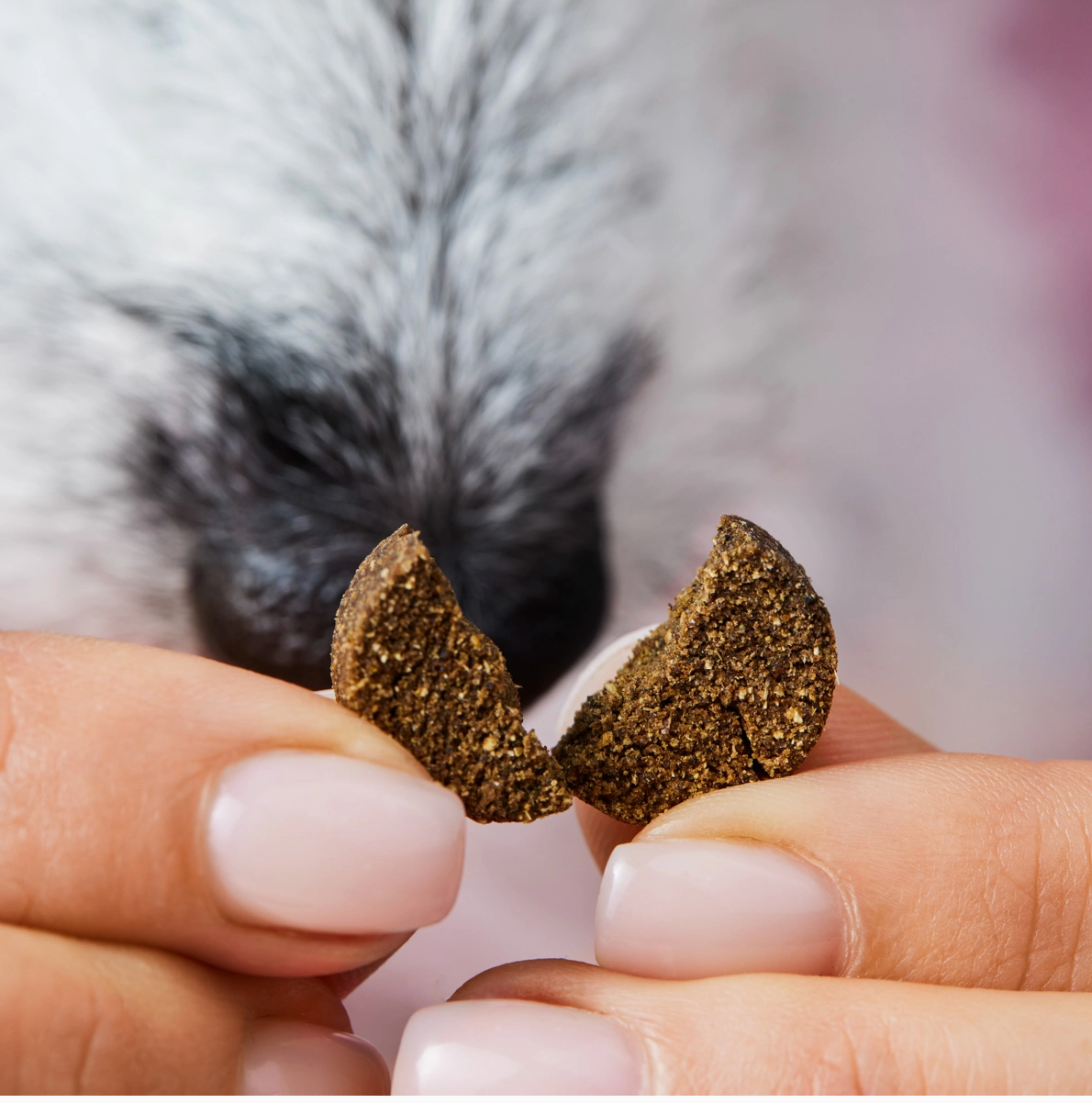 HealthyDog Tierliebhaber Gras & Kotfresser Drops