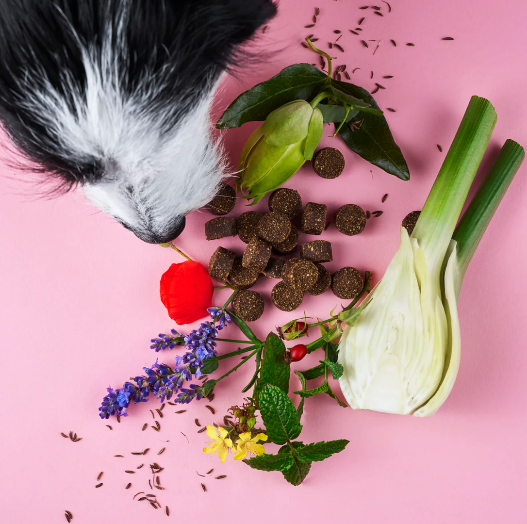 HealthyDog Tierliebhaber Chillout Drops