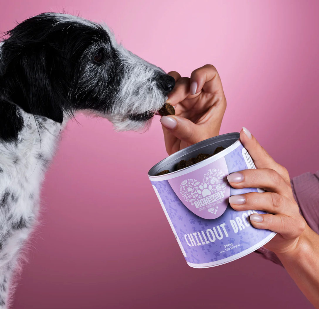 HealthyDog Tierliebhaber Chillout Drops