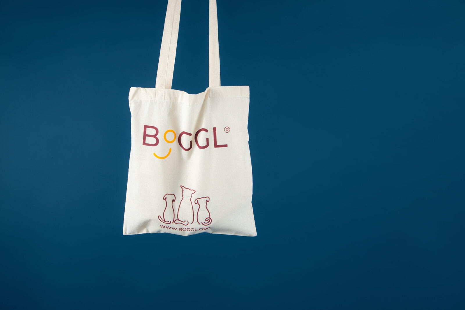 HealthyDog BOGGL M Hundespielzeug