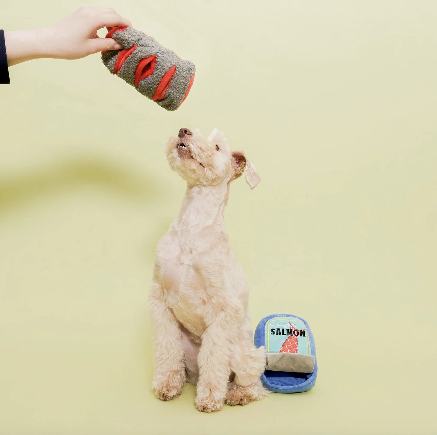 the furryfolks Lachs Nasenarbeit Hundespielzeug