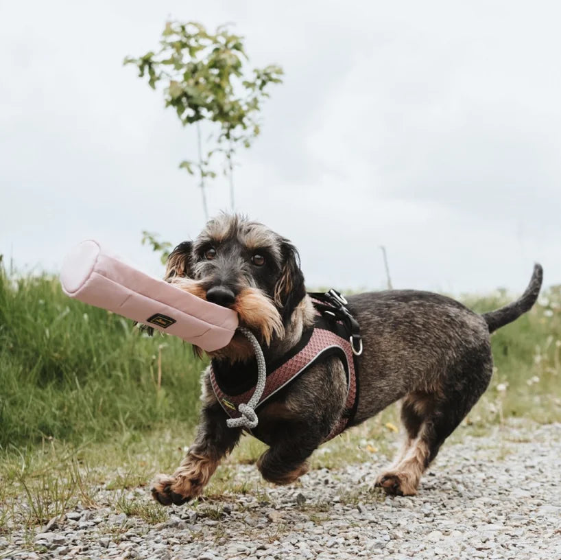HealthyDog Hunter Trainer Snack Dummy mit Seil altrosa