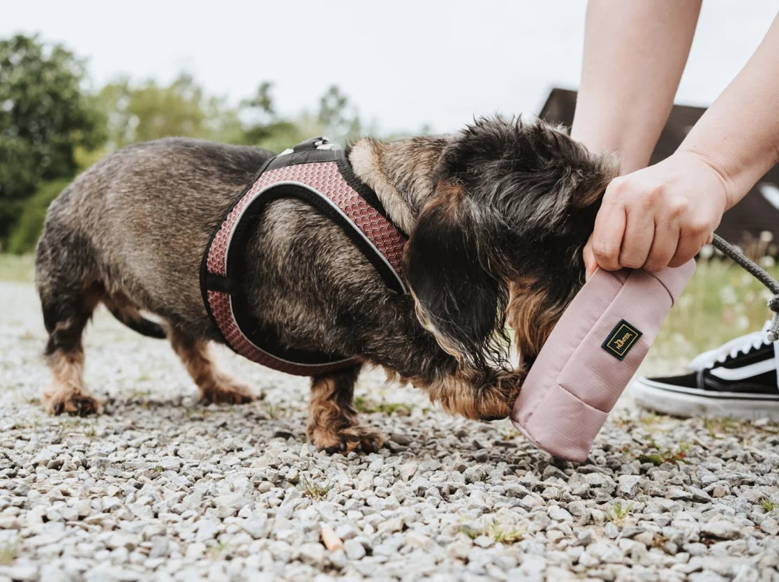 HealthyDog Hunter Trainer Snack Dummy mit Seil altrosa