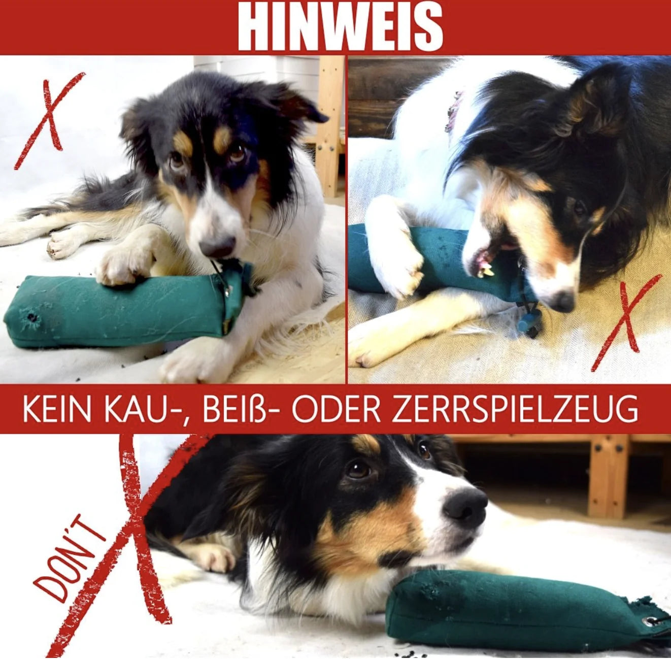 HealthyDog Romney's Junior Dummy 250gr