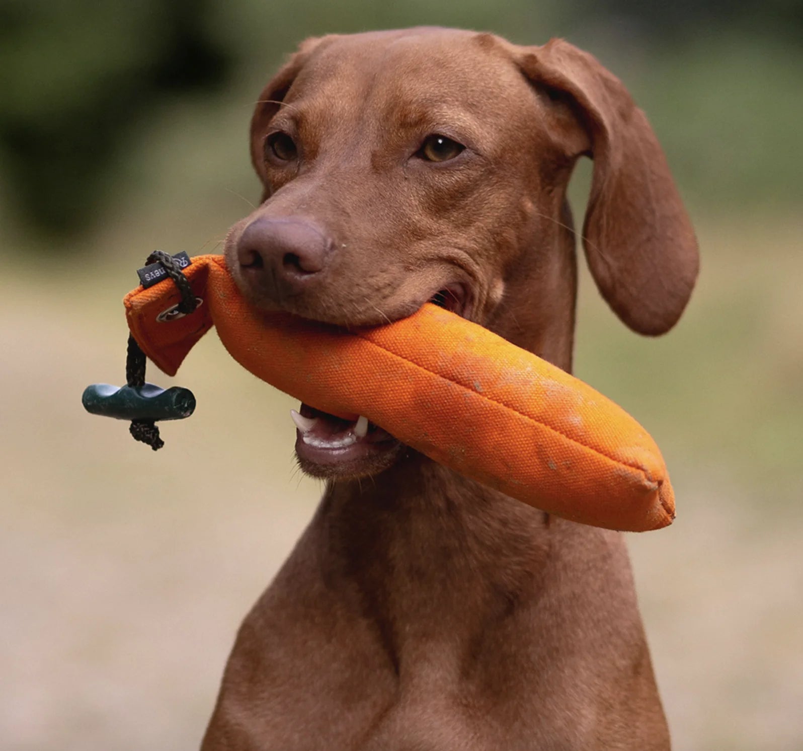 HealthyDog Romney's Junior Dummy 250gr