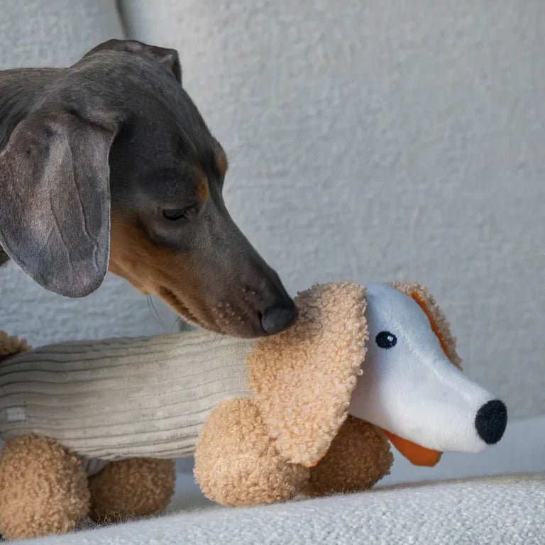 HealthyDog Hundespielzeug "Der Micky"