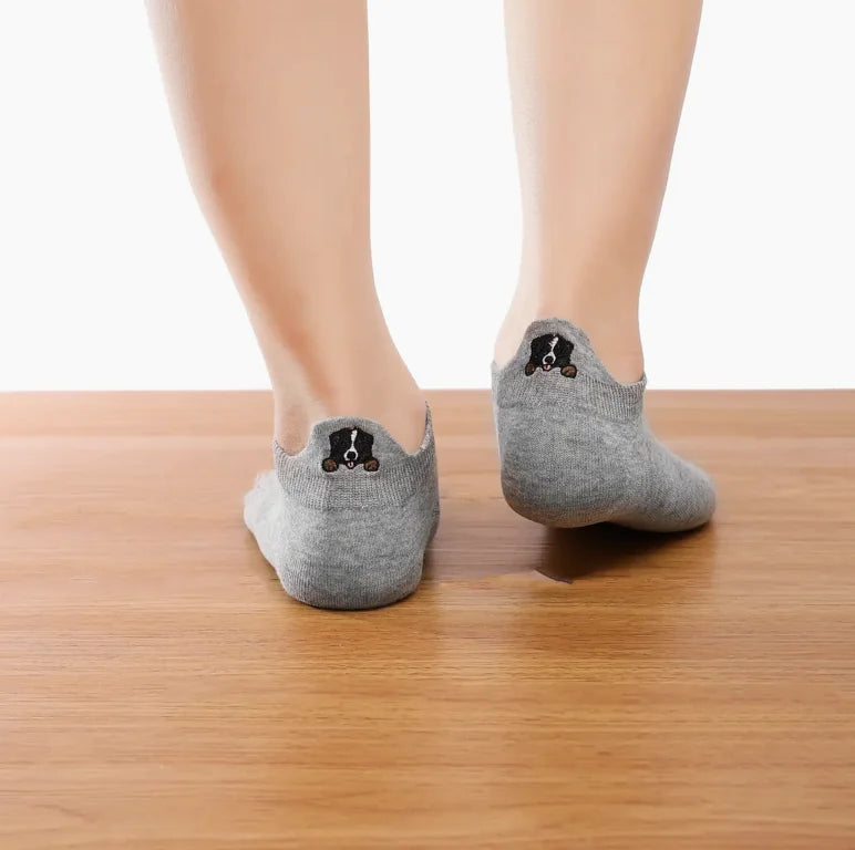 HealthyDog Tites Chaussettes Hundesocke "Berner Sennenhund"