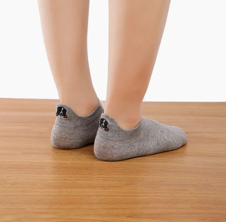 HealthyDog Tites Chaussettes Hundesocke "Berner Sennenhund"