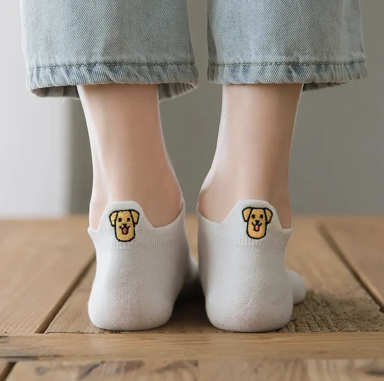 HealthyDog Tites Chaussettes Hundesocke "Labrador"