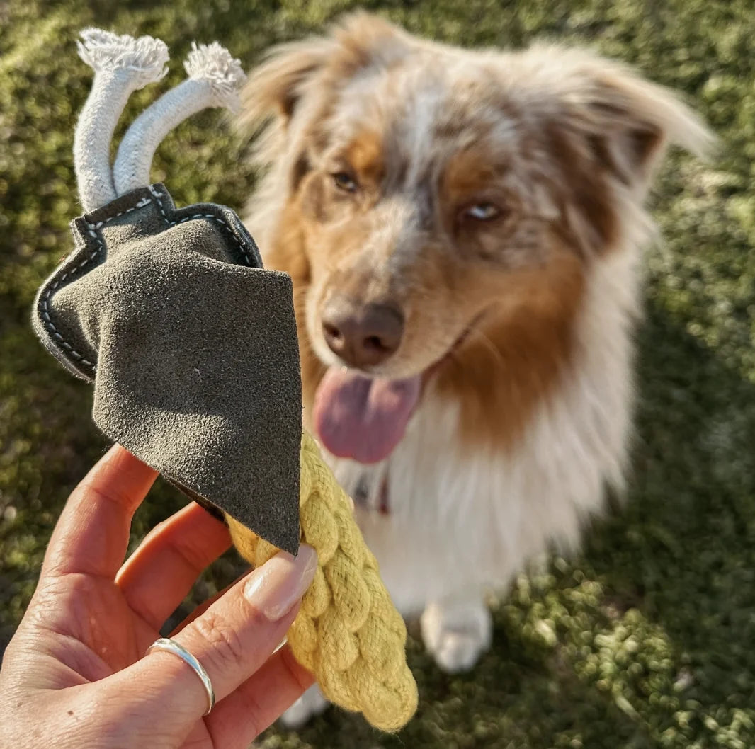 HealthyDog Outback Tails "It's cooorn"