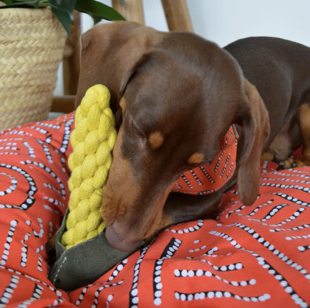 HealthyDog Outback Tails "It's cooorn"