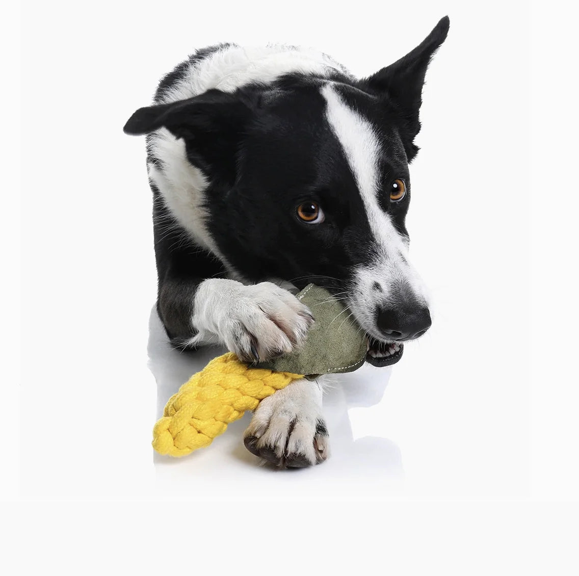 HealthyDog Outback Tails "It's cooorn"