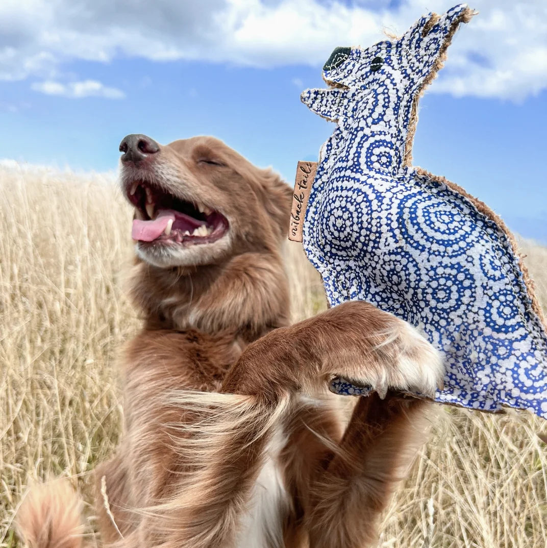 HealthyDog Outback Tails "Balou"