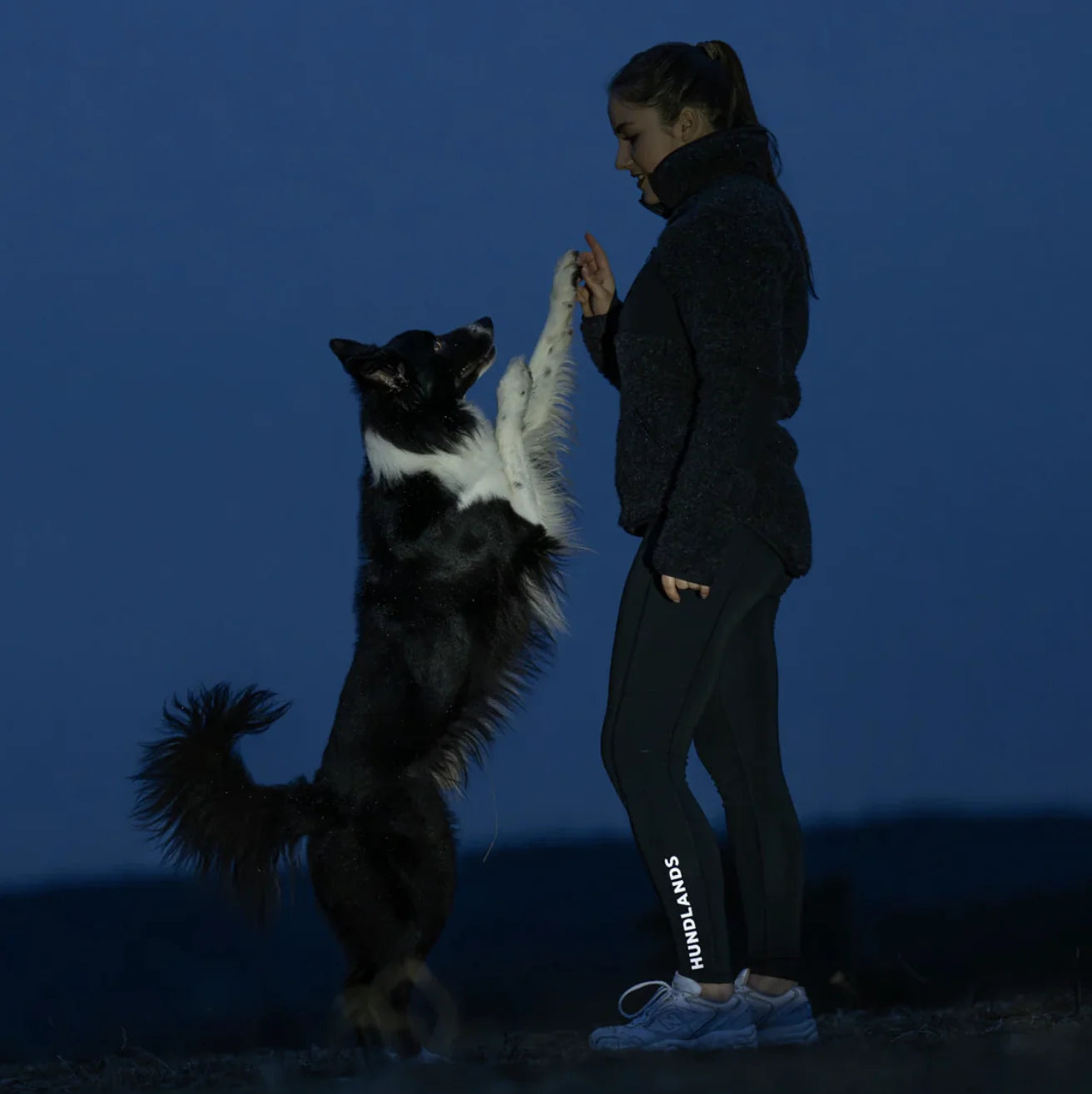 HealthyDog Hundlands Trainingsleggings Fave