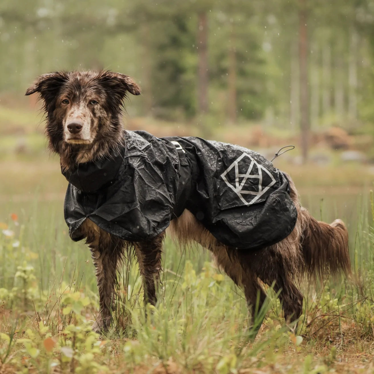 HealthyDog Hundlands Regenmäntel Stormsy