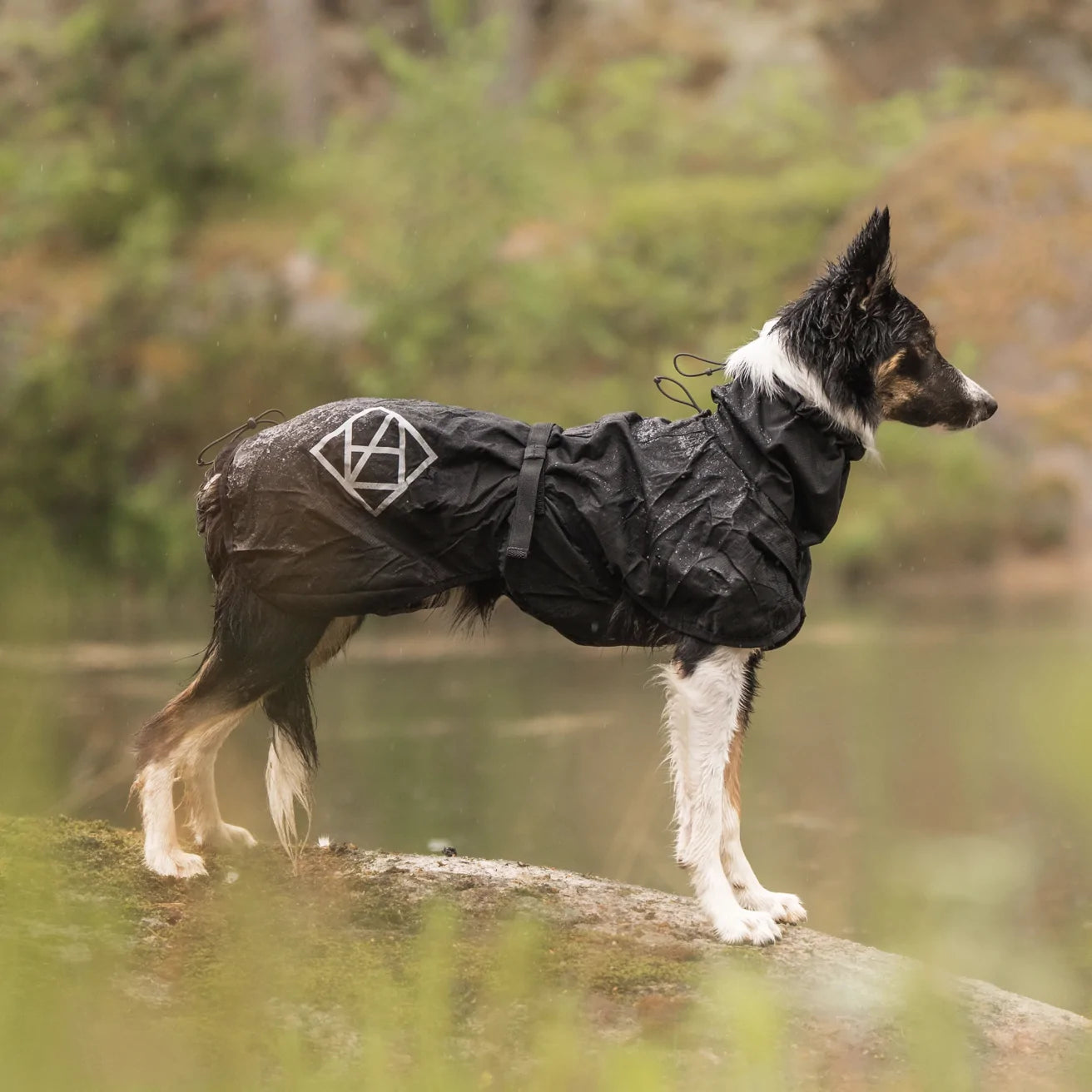 HealthyDog Hundlands Regenmäntel Stormsy