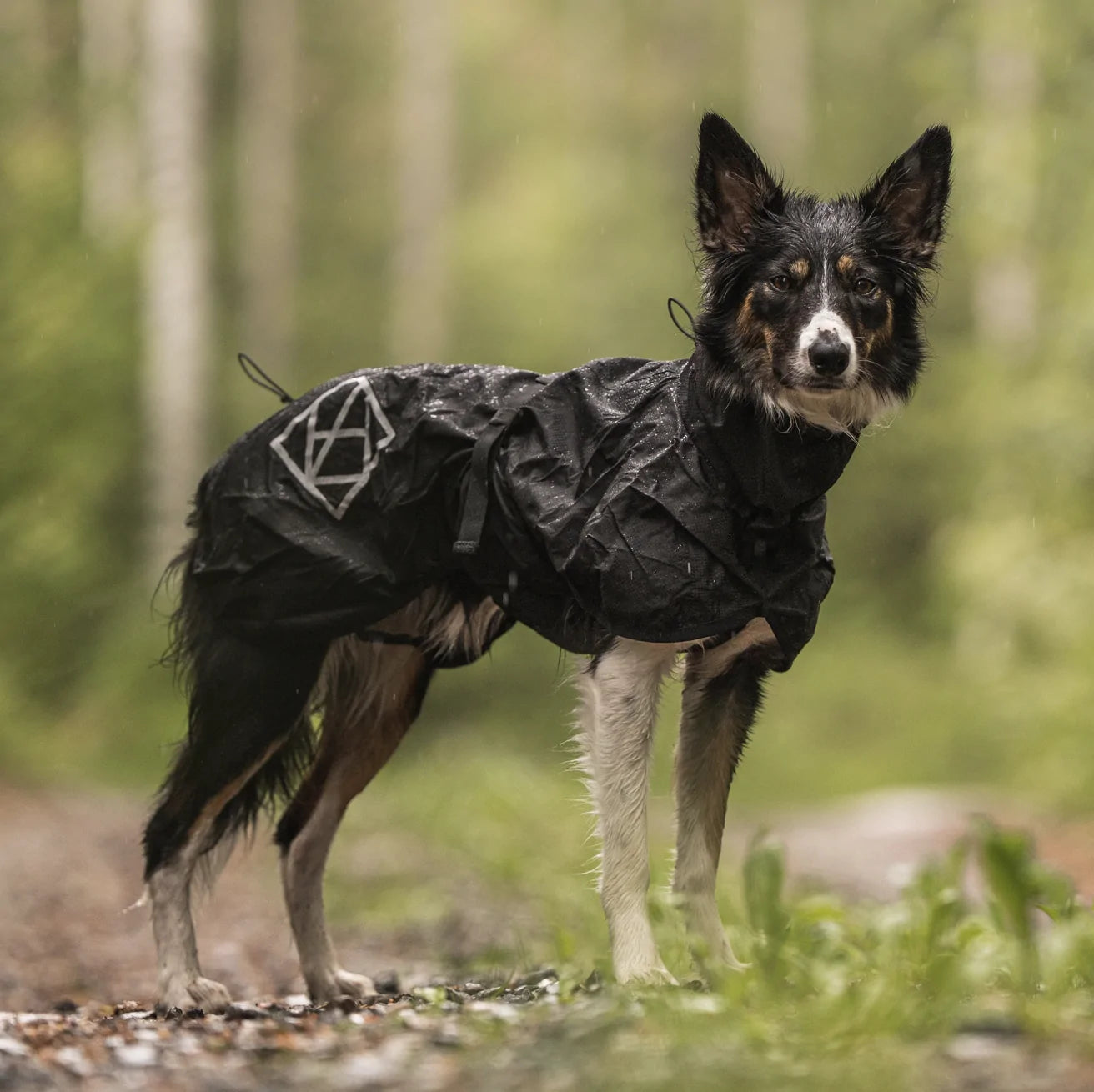 HealthyDog Hundlands Regenmäntel Stormsy