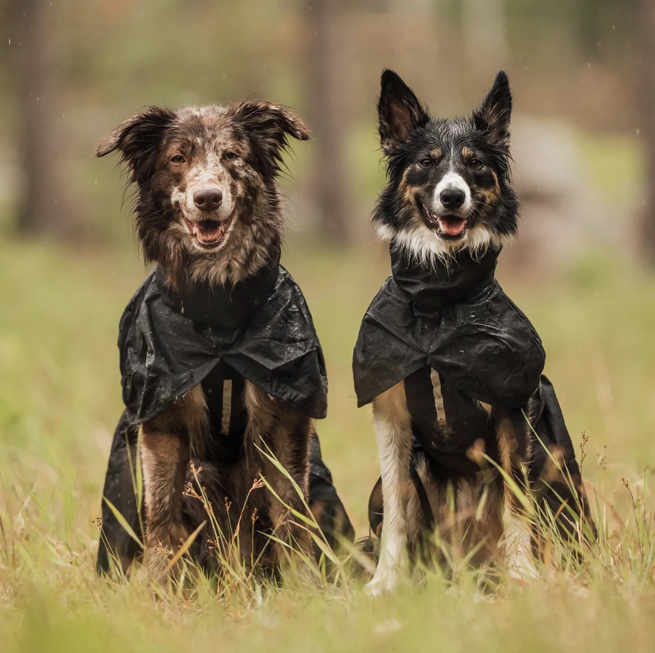 HealthyDog Hundlands Regenmäntel Stormsy