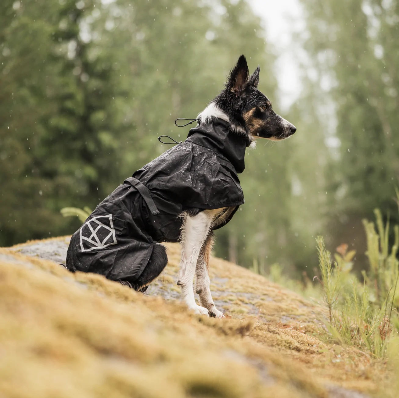 HealthyDog Hundlands Regenmäntel Stormsy