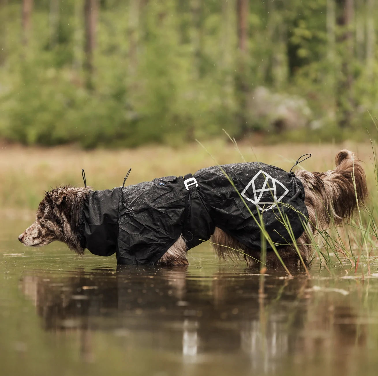 HealthyDog Hundlands Regenmäntel Stormsy