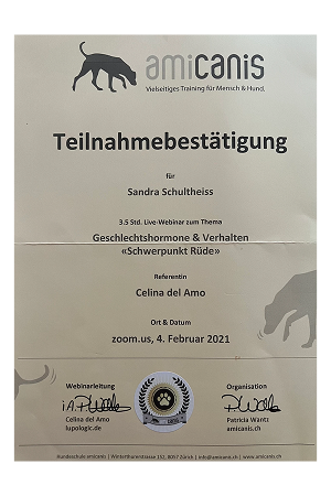 Zertifikate werden geladen
