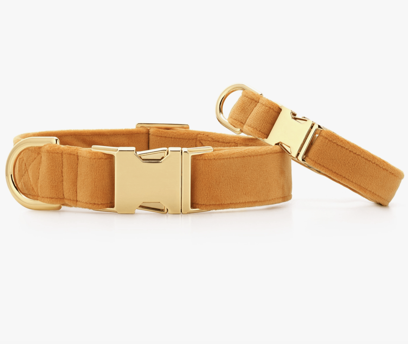 HealthyDog The Foggy Dog Hundehalsband honey