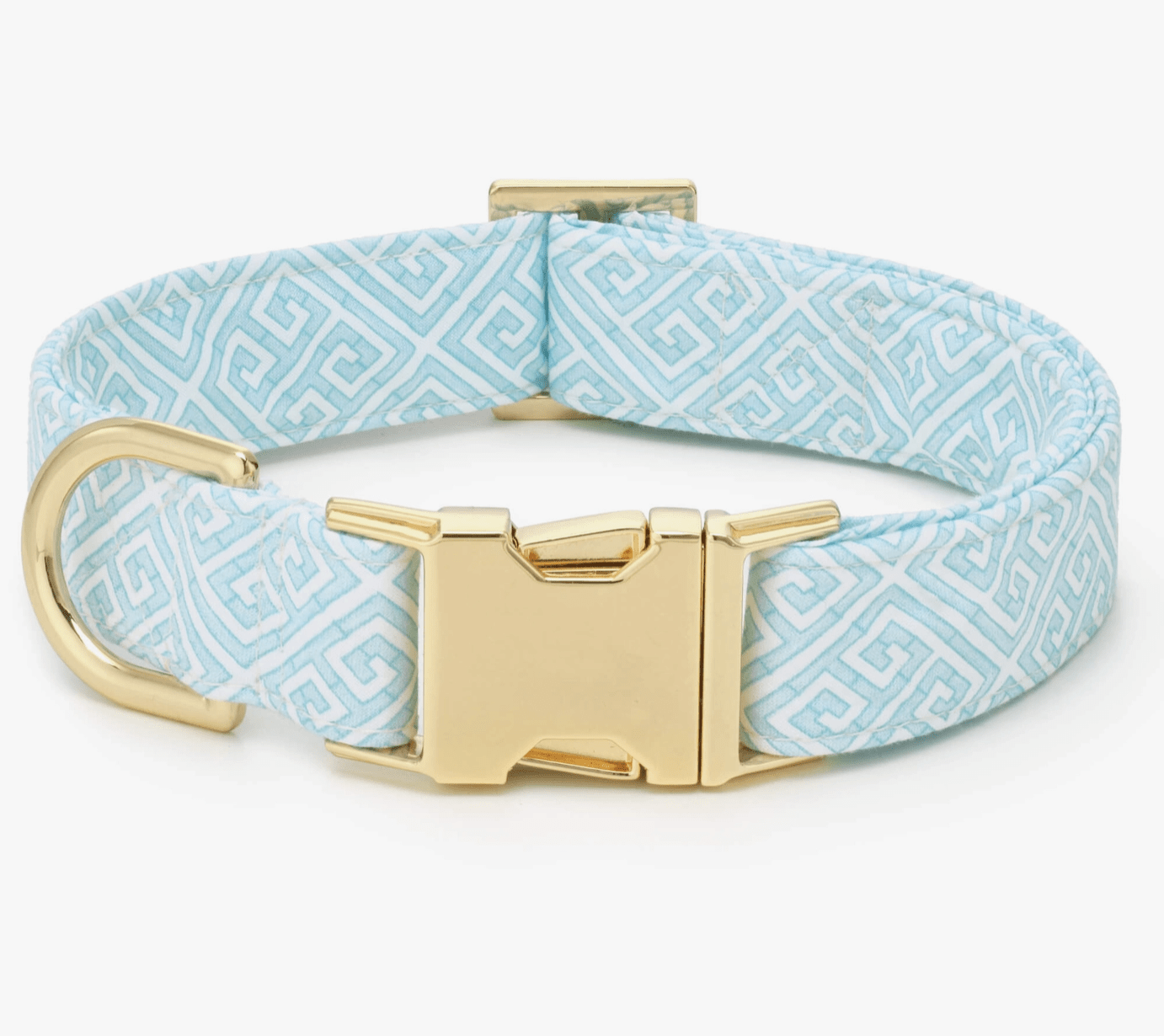 HealthyDog The Foggy Dog Hundehalsband mint mandalay