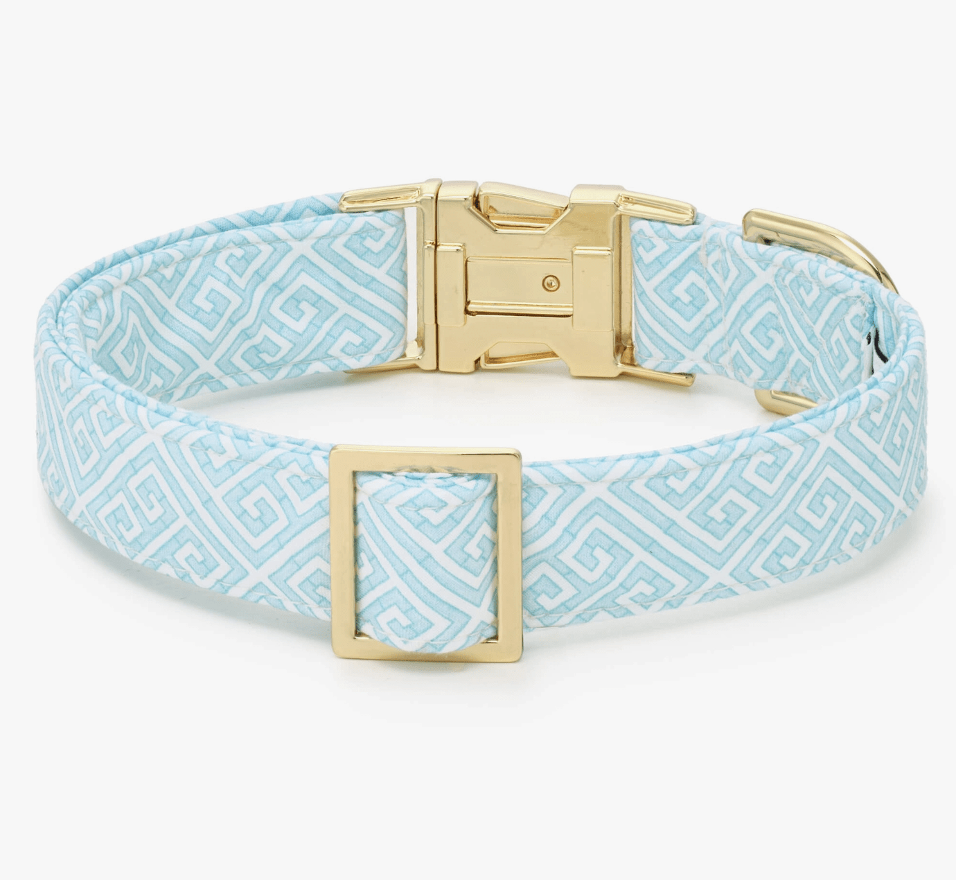 HealthyDog The Foggy Dog Hundehalsband mint mandalay