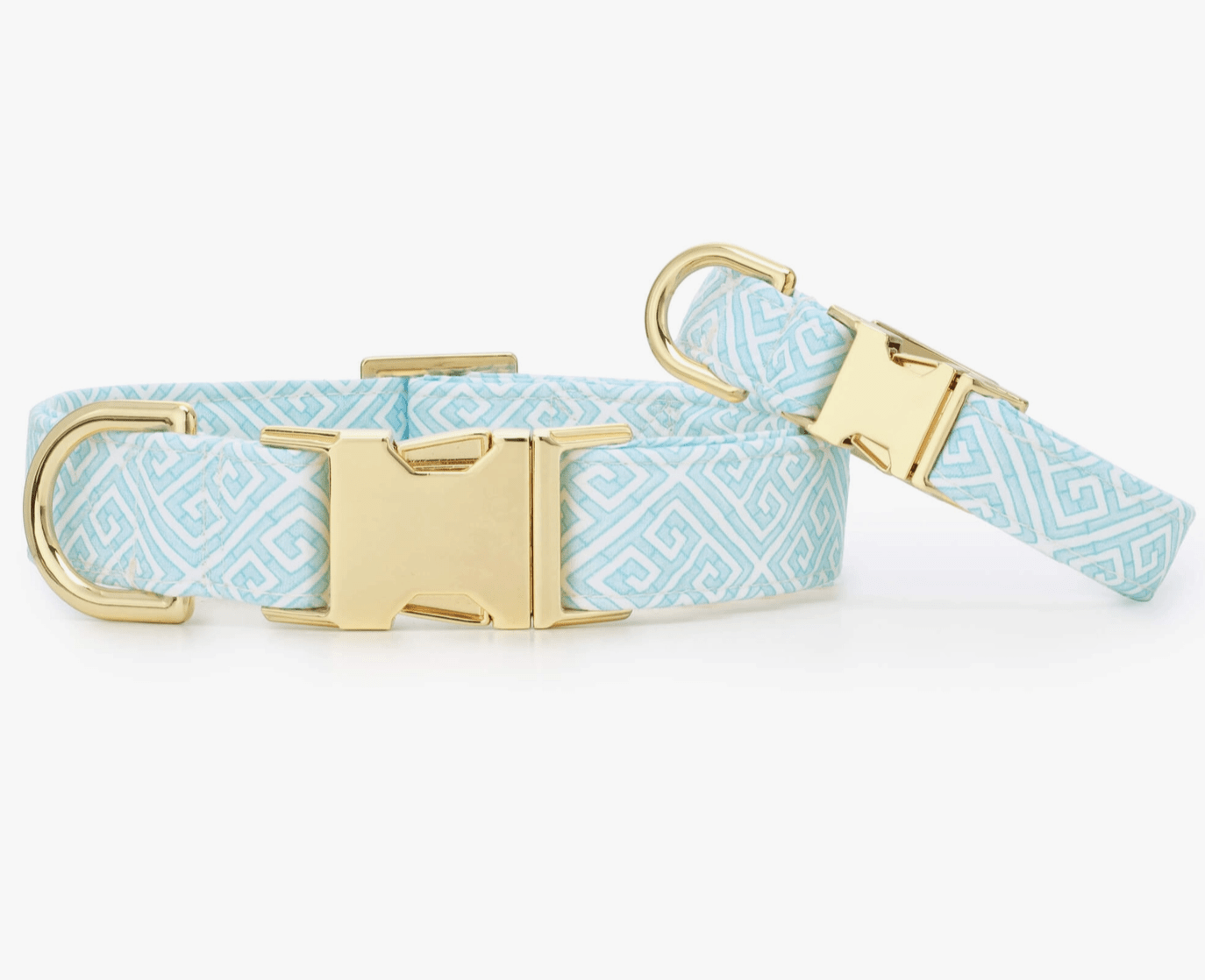 HealthyDog The Foggy Dog Hundehalsband mint mandalay