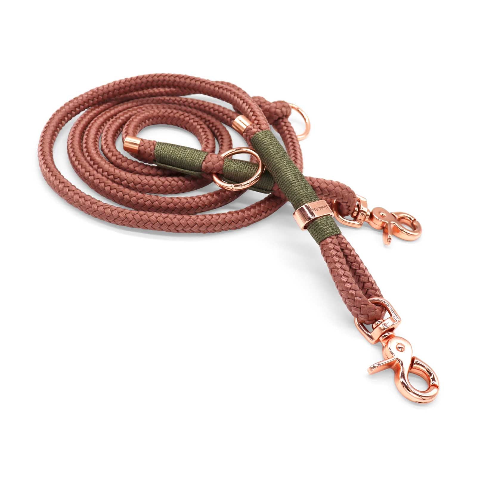 HealthyDog Hundeleine «DIRA»