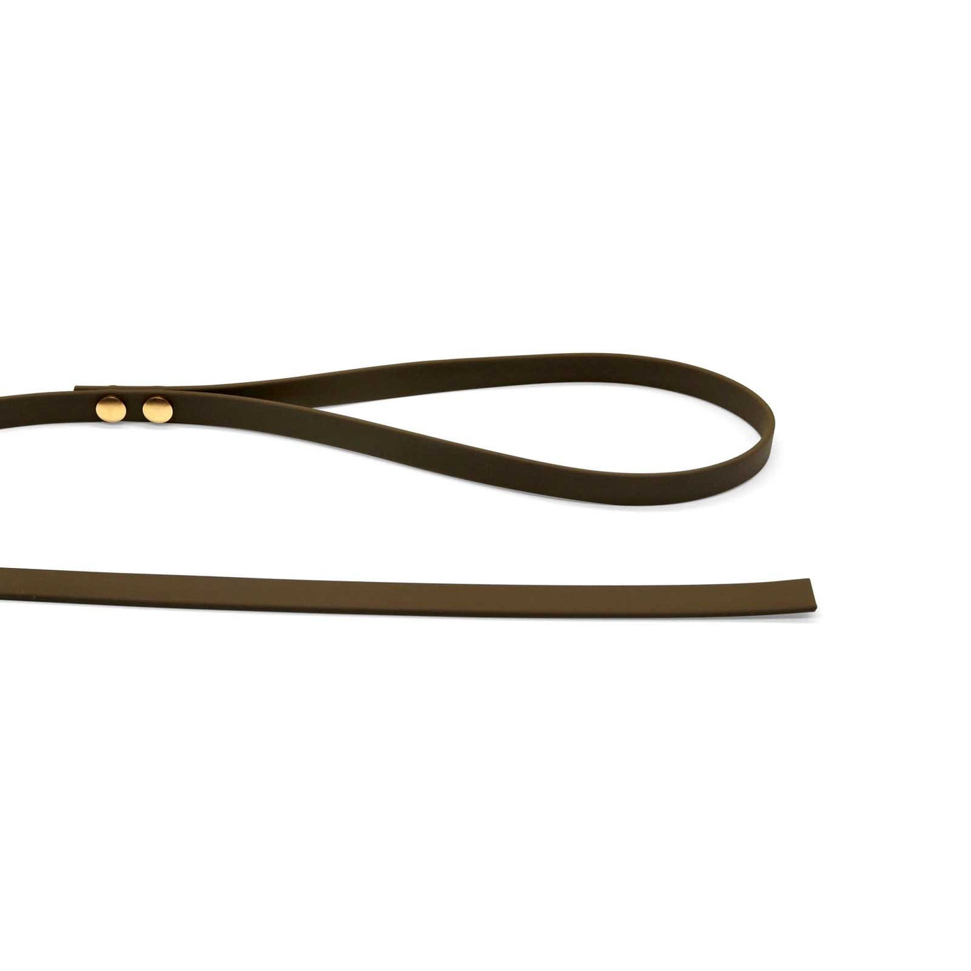 HealthyDog Biothane Leine "olive"