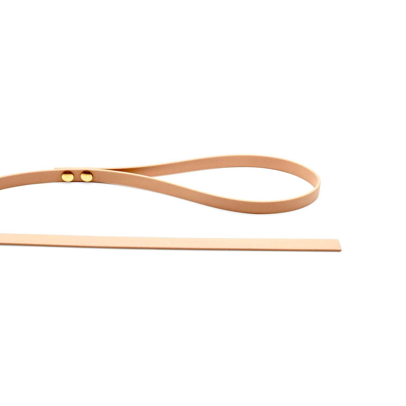 HealthyDog Biothane Leine "powder tan"