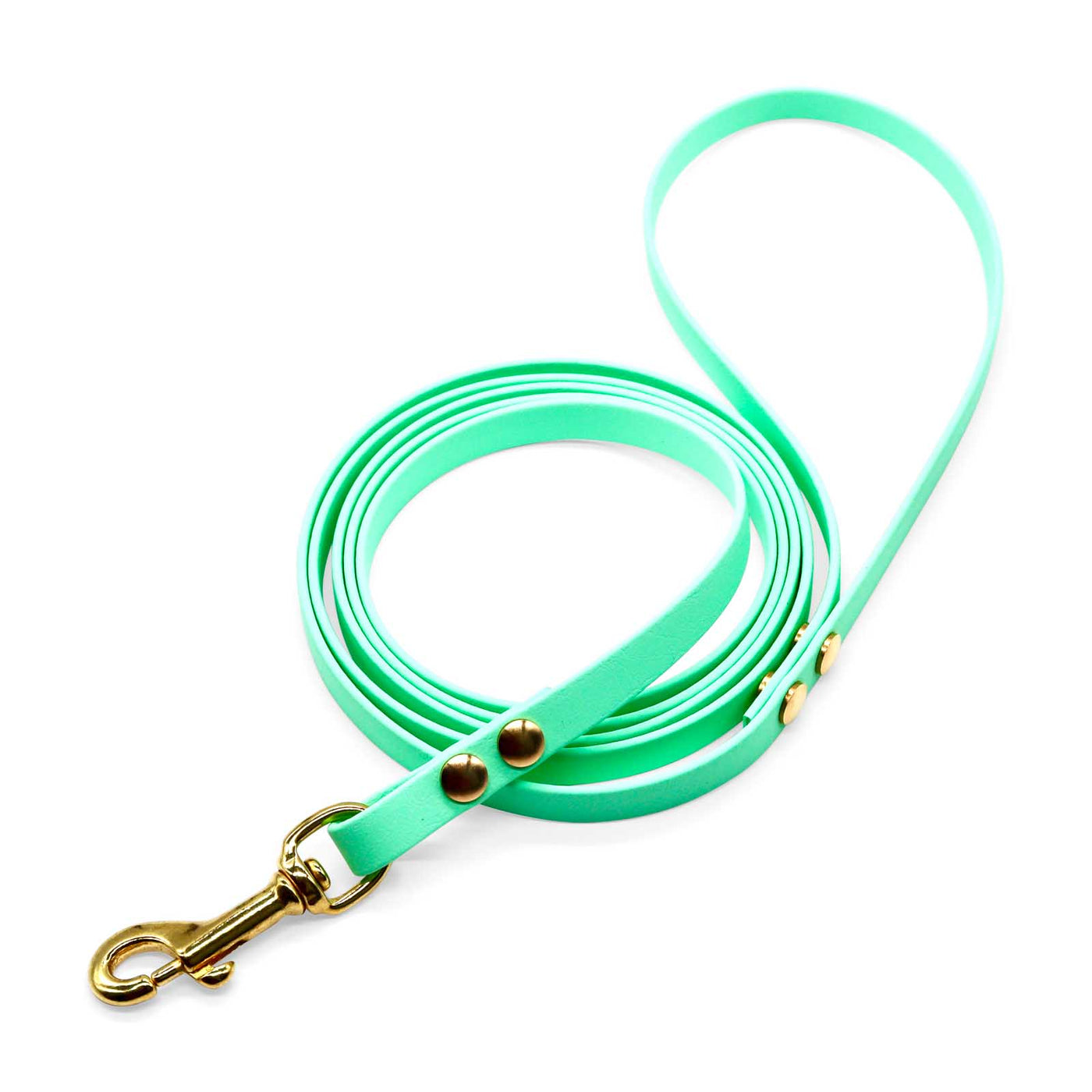 HealthyDog Biothane Leine "caribbean mint"