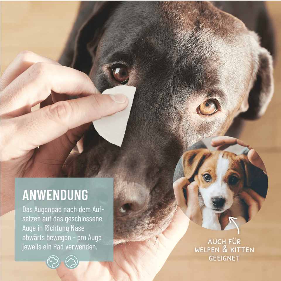 HealthyDog ReaVet Augenpflege